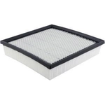Order Air Filter by BALDWIN - PA4178 For Your Vehicle