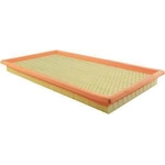 Order Air Filter by BALDWIN - PA4185 For Your Vehicle