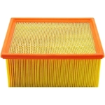 Order BALDWIN - PA4318 - Air Filter For Your Vehicle