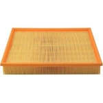 Order Air Filter by BALDWIN - PA4359 For Your Vehicle