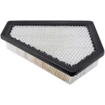 Order Air Filter by BALDWIN - PA4429 For Your Vehicle