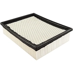 Order Air Filter by BALDWIN - PA4447 For Your Vehicle