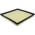 Order Air Filter by BALDWIN - PA4453 For Your Vehicle
