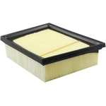 Order Air Filter by BALDWIN - PA4455 For Your Vehicle