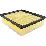 Order Air Filter by BALDWIN - PA4471 For Your Vehicle