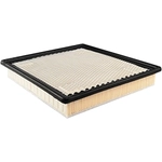 Order Air Filter by BALDWIN - PA4487 For Your Vehicle