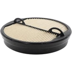 Order Air Filter by BALDWIN - PA5418 For Your Vehicle