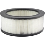 Order Air Filter by BALDWIN - PA602 For Your Vehicle