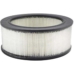 Order Air Filter by BALDWIN - PA602 For Your Vehicle