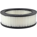 Order Air Filter by BALDWIN - PA607 For Your Vehicle