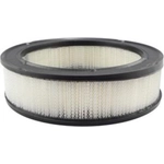 Order Air Filter by BALDWIN - PA615 For Your Vehicle