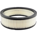 Order Air Filter by BALDWIN - PA621 For Your Vehicle