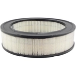 Order Air Filter by BALDWIN - PA625 For Your Vehicle