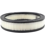 Order Air Filter by BALDWIN - PA642 For Your Vehicle