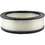 Order Air Filter by BALDWIN - PA648 For Your Vehicle