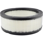 Order Air Filter by BALDWIN - PA650 For Your Vehicle