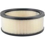 Order Air Filter by BALDWIN - PA657 For Your Vehicle