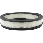 Order Air Filter by BALDWIN - PA658 For Your Vehicle