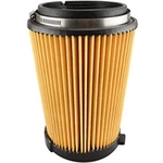 Order Air Filter by BALDWIN - RS10350 For Your Vehicle