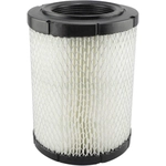 Order Air Filter by BALDWIN - RS4161 For Your Vehicle