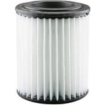 Order BALDWIN - RS4189 - Air Filter For Your Vehicle