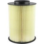 Order BALDWIN - RS4450 - Air Filter For Your Vehicle