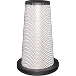 Order Air Filter by BALDWIN - RS4863 For Your Vehicle