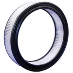 Order Air Filter by BOSCH - 5451WS For Your Vehicle
