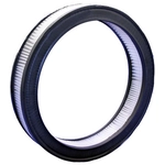 Order Air Filter by BOSCH - 5453WS For Your Vehicle