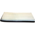 Order Air Filter by CROWN AUTOMOTIVE JEEP REPLACEMENT - 4797777R For Your Vehicle