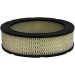 Order Air Filter by DEFENSE - DA160 For Your Vehicle