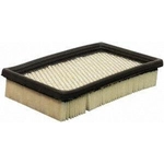 Order Air Filter by DEFENSE - DA3559 For Your Vehicle