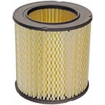 Order Air Filter by DEFENSE - DA3902 For Your Vehicle