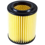 Order DENSO - 143-3175 - Air Filter For Your Vehicle