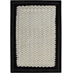 Order DENSO - 143-3355 - Air Filter For Your Vehicle
