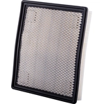 Order Air Filter by ECOGARD - XA10016 For Your Vehicle
