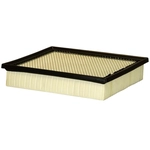 Order Air Filter by ECOGARD - XA10242 For Your Vehicle