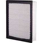 Order Air Filter by ECOGARD - XA10242 For Your Vehicle