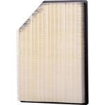 Order ECOGARD - XA12030 - Air Filter For Your Vehicle