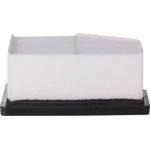 Order Air Filter by ECOGARD - XA12123 For Your Vehicle