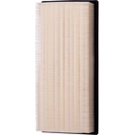 Order ECOGARD - XA5546 - Air Filter For Your Vehicle