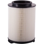 Order ECOGARD - XA5556 - Air Filter For Your Vehicle