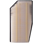 Order ECOGARD - XA5565 - Air Filter For Your Vehicle