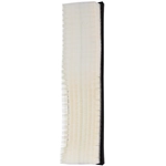 Order Air Filter by ECOGARD - XA5596 For Your Vehicle