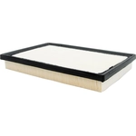 Order Air Filter by ECOGARD - XA5786 For Your Vehicle