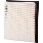 Order ECOGARD - XA5824 - Air Filter For Your Vehicle