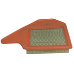 Order Air Filter by ECOGARD - XA6165 For Your Vehicle