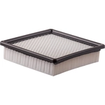 Order Air Filter by ECOGARD - XA6169 For Your Vehicle