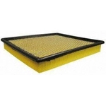 Order Air Filter by ECOGARD - XA10015 For Your Vehicle