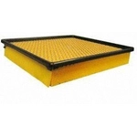 Order Air Filter by ECOGARD - XA10016 For Your Vehicle